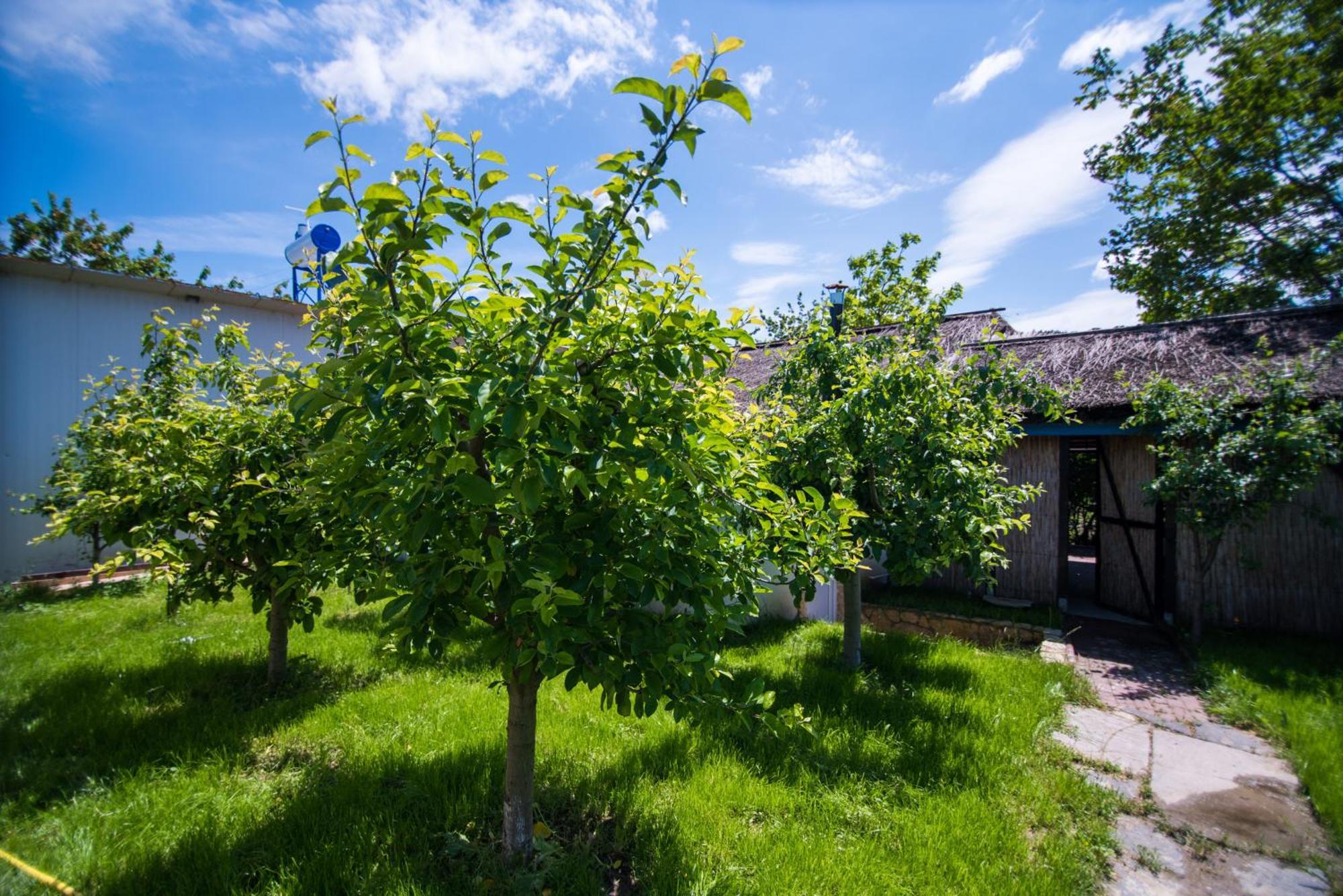 Pensiunea La Gura Portitei - Jurilovca Hotel Buitenkant foto